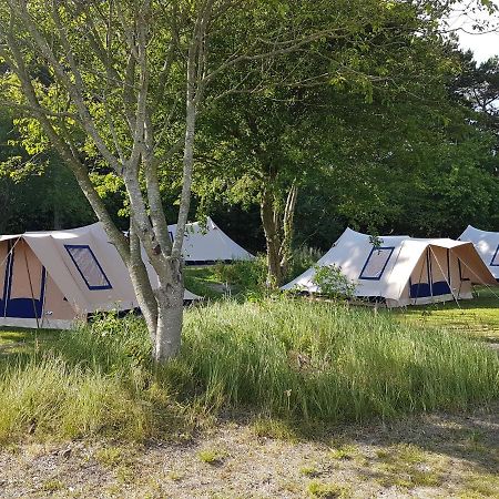 Ameland Tentenverhuur Nes  Εξωτερικό φωτογραφία
