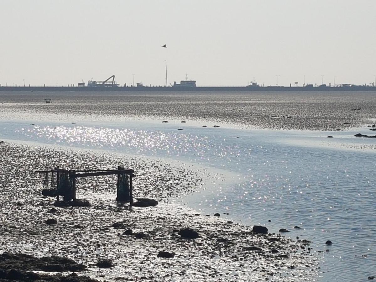 Ameland Tentenverhuur Nes  Εξωτερικό φωτογραφία